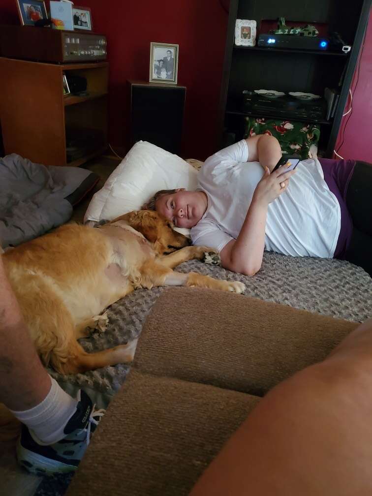 dog cancer