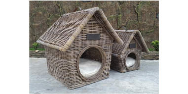 Snoopy Dog House