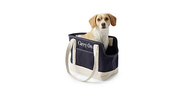 Canvas Tote Pet Carrier