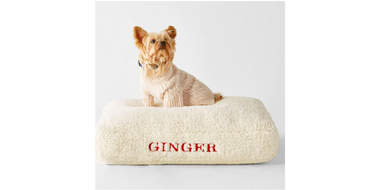 personalized knit dog sweater