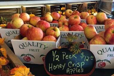 Mackintosh Fruit Farm
