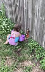 dog plays fetch through fence
