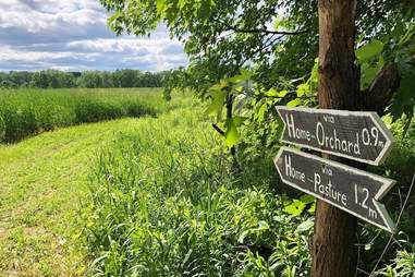 Greig Farm apple orchard trail