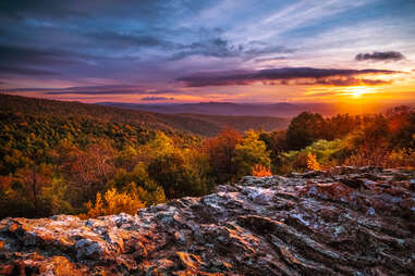Virginia leaf peeping