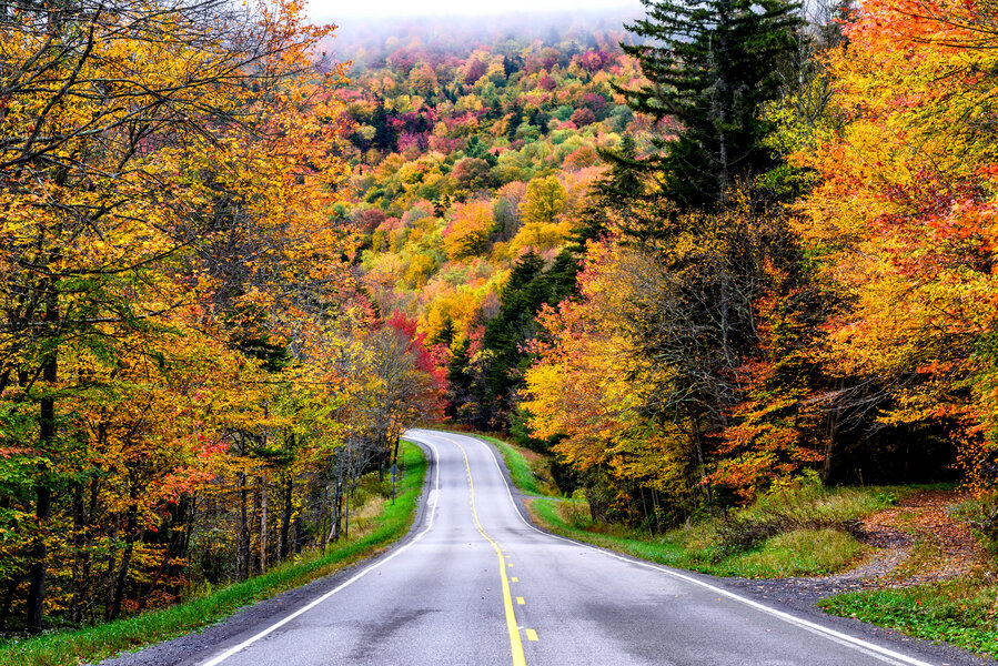 SVS: Autumn Around the Chesapeake Bay