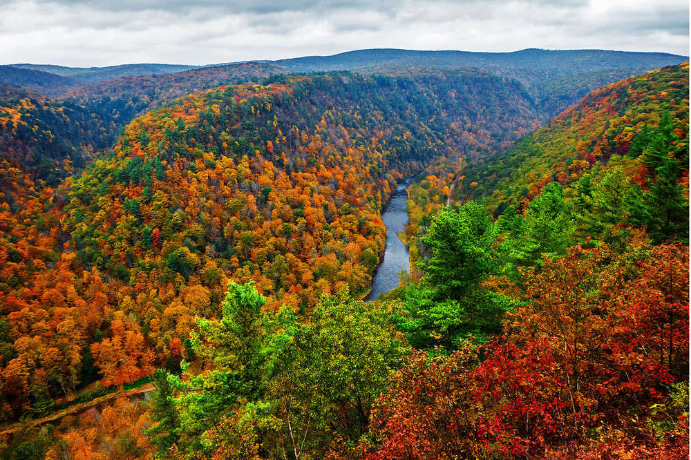 Fall Foliage Near DC: Places in the Mid-Atlantic to See Leaves Change Color - Thrillist