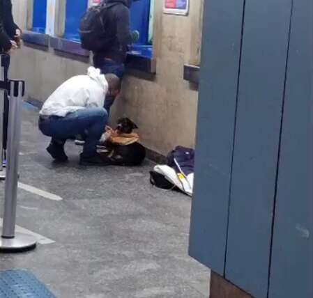 Guy Takes The Shirt Off His Back And Gives It To A Cold Stray Dog - The Dodo
