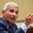 Fauci Was “Under General Anesthesia” When Task Force Talked New COVID-19 Testing Rules