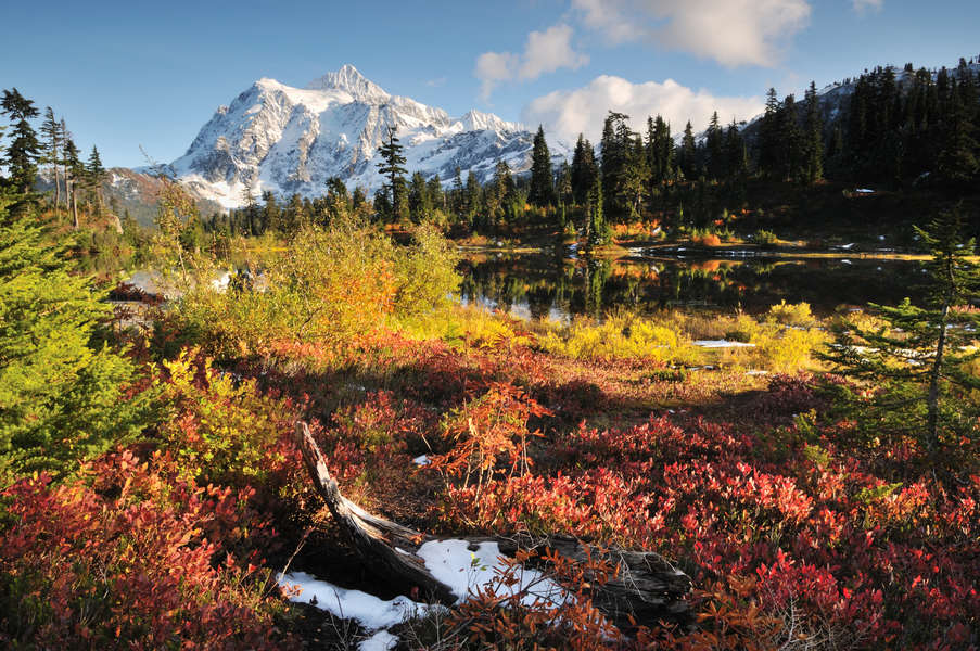 Best Places To See Fall Foliage Near Seattle Thrillist