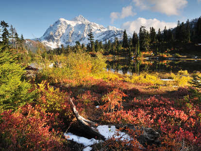 Best Places to See Fall Foliage Near Seattle - Thrillist