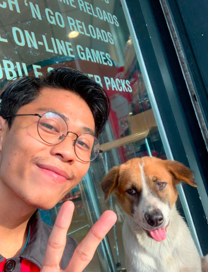 Stray Dog Tracks Down Guy Who Was Kind To Her At Work - The Dodo