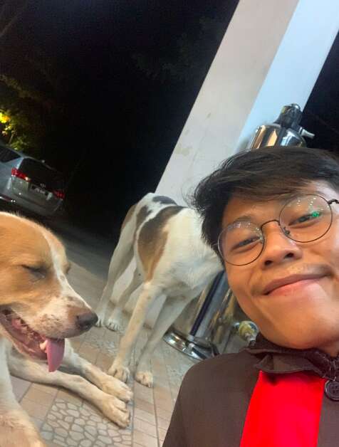 Stray dog follows guy to work