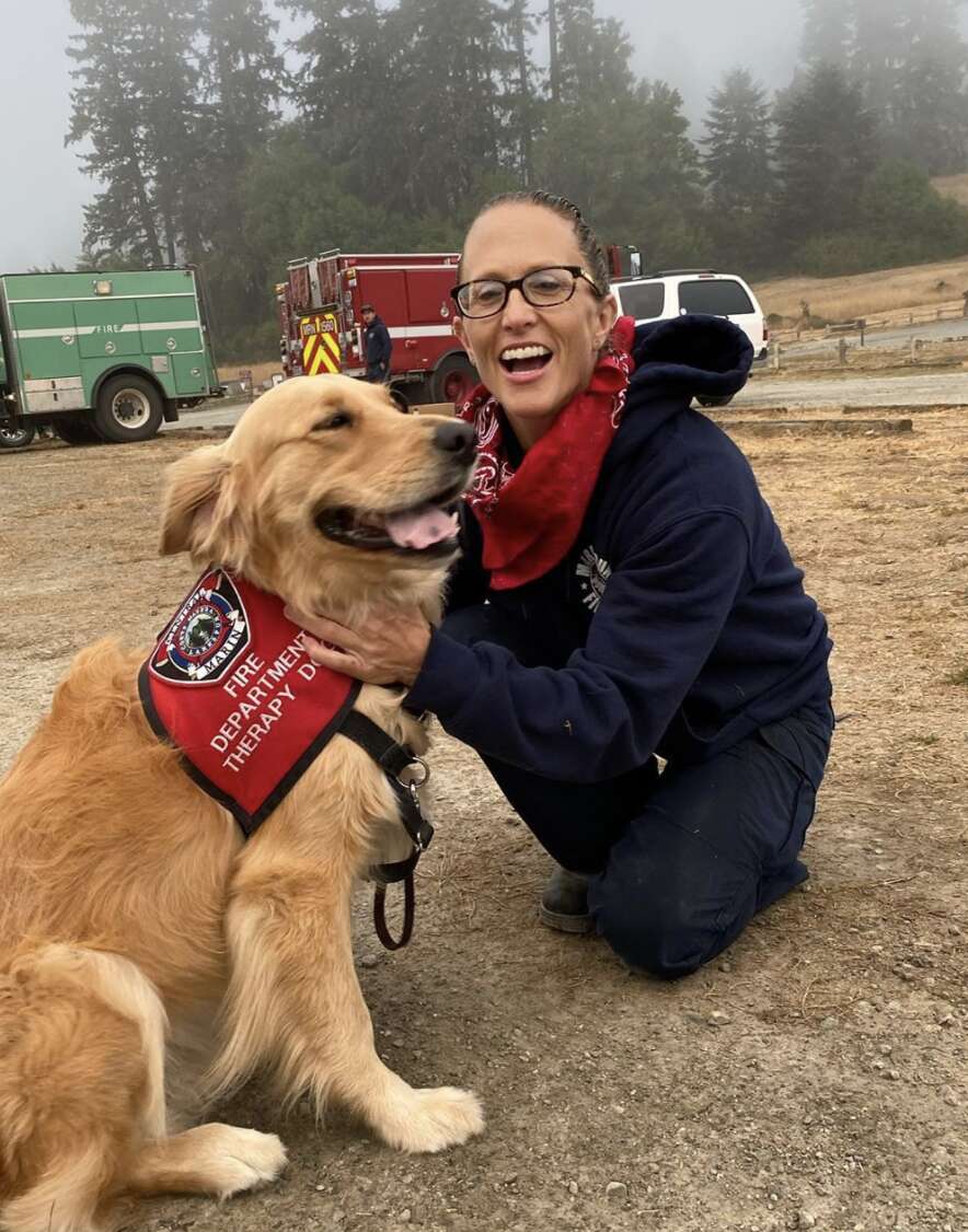 therapy dog