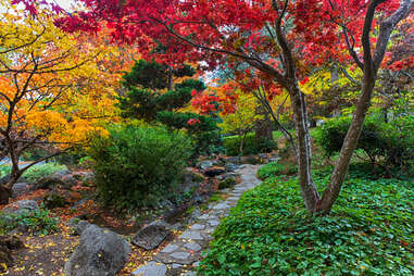 Lithia Park 