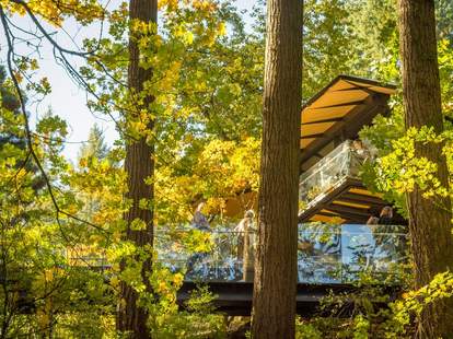 Portland Japanese Garden