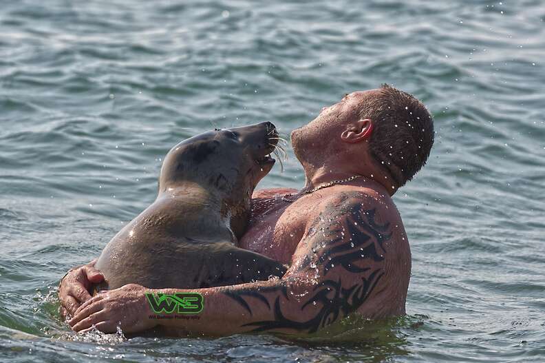 Fan makes great catch, gets hug from Lou Seal 