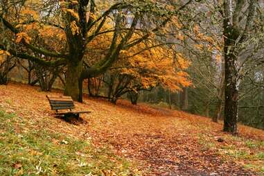 Hoyt Arboretum - Portland, OR