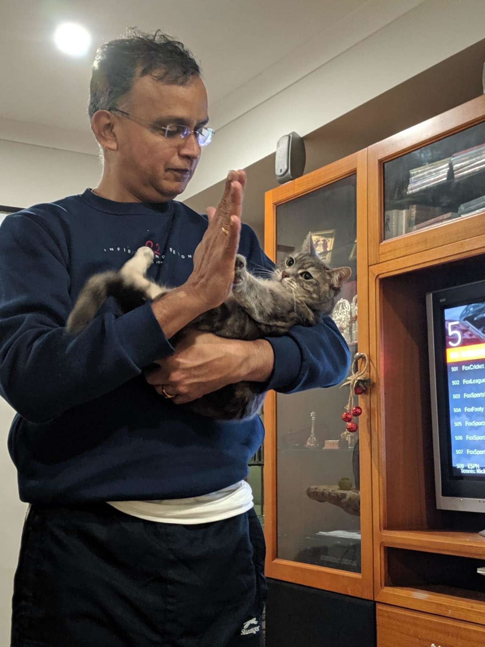 Cat Demands Nightly Ride in a Box