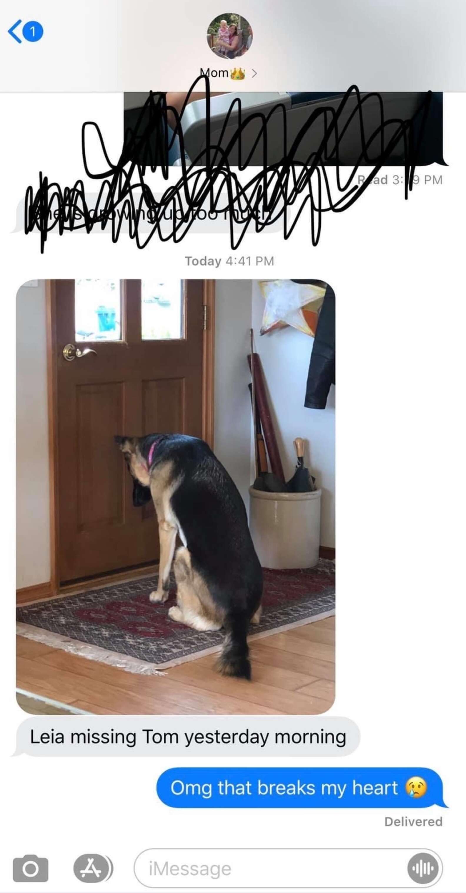 Loyal Dog Waits At The Door For Her Dad To Get Back From The Hospital ...