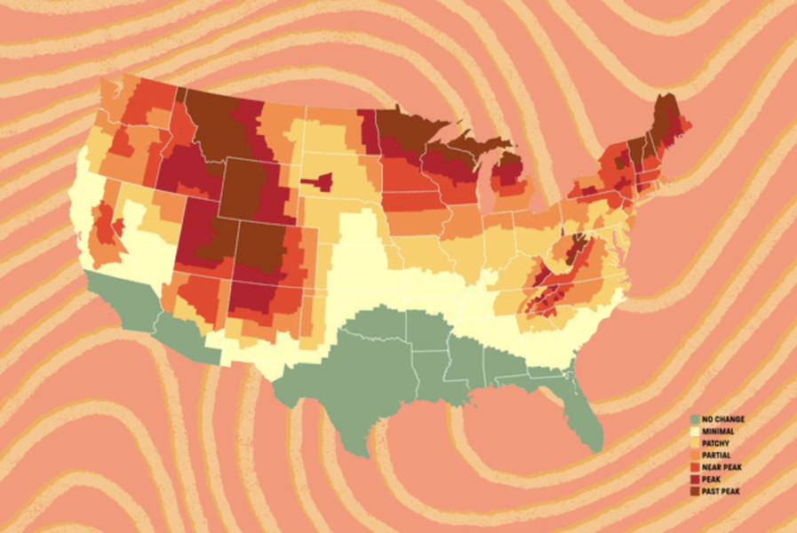 Fall Leaf Color Map Fall Foliage Forecast & Prediction Map 2020: When Will Leaves Change Color?  - Thrillist