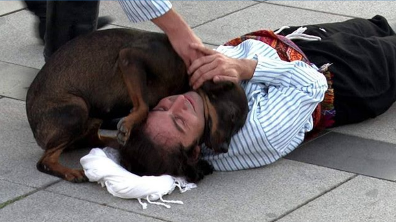 Stray Dog Comforts Actor Pretending To Be Injured - The Dodo