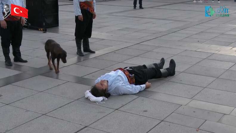 Stray Dog Comforts Actor Pretending To Be Injured - The Dodo