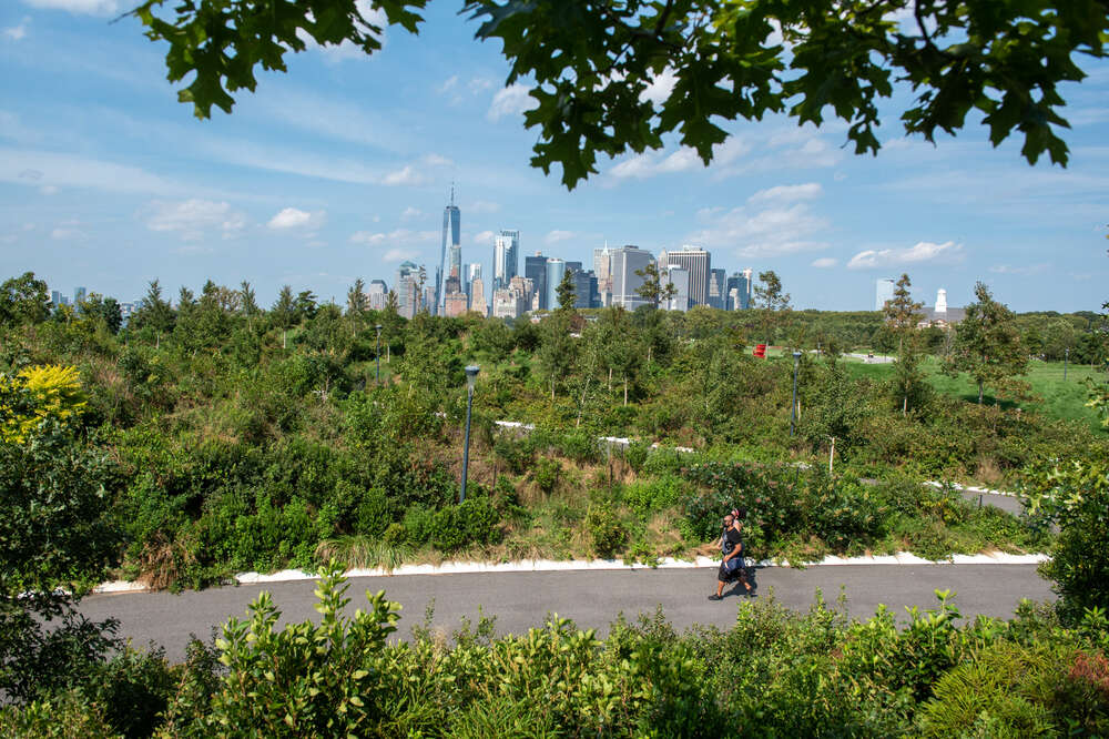 are dogs allowed on governors island