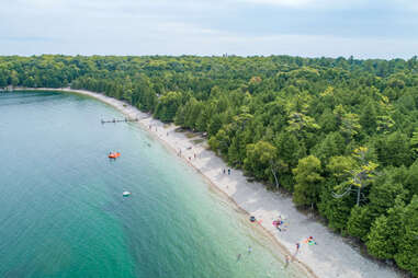 a narrow beach backed by an enormous grove of pine trees