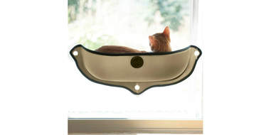 Cat perch window bowl