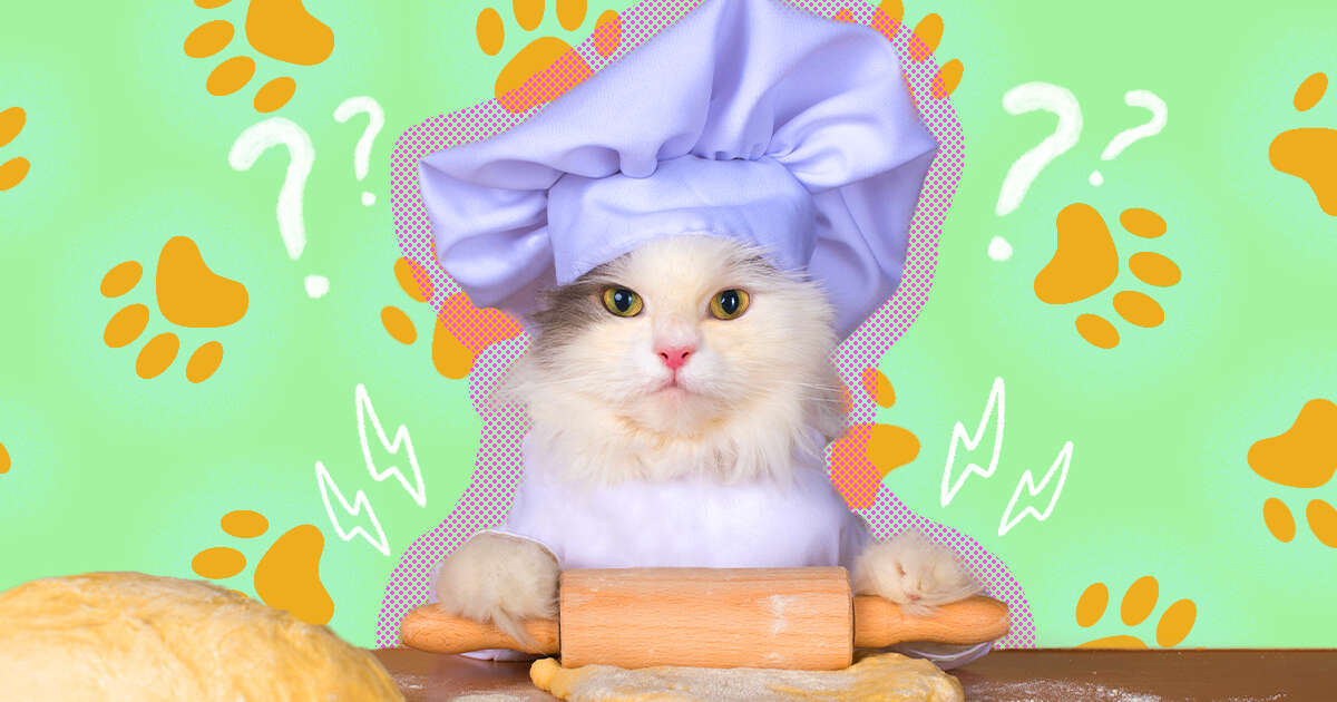 cat kneading with a rolling pin