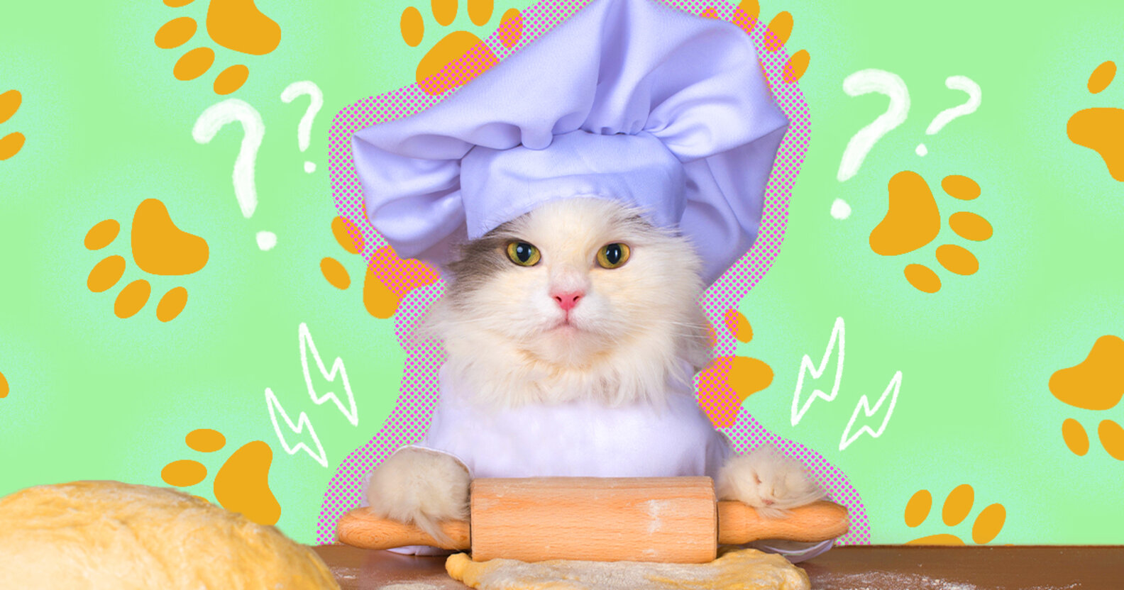 Why Do Cats Knead? The 6 Most Common Reasons, According To Vets DodoWell The Dodo