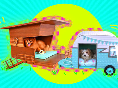 craziest dog houses