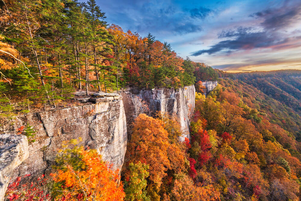 Fall Foliage Prediction 2020 Fall Foliage Forecast & Prediction Map 2020: When Will Leaves Change Color?  - Thrillist