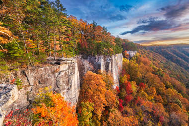 Fall Foliage Forecast Prediction Map 2020 When Will Leaves Change Color Thrillist