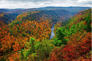 a river leading through vibrant fall trees