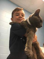 shelter cat