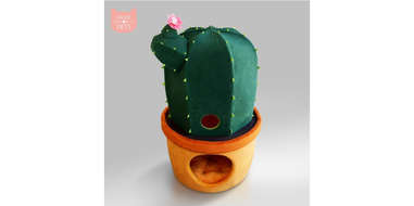 cactus cat bed