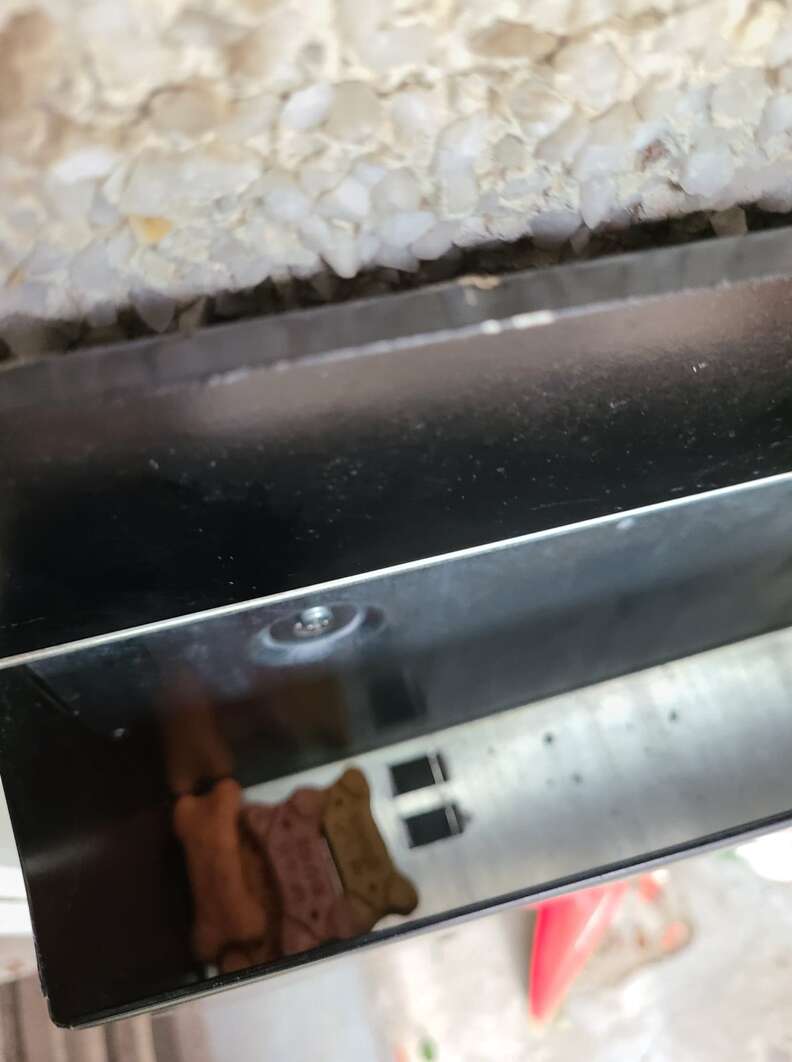 Garbage truck driver leaves treats for dog