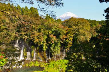 The Shiraito Falls