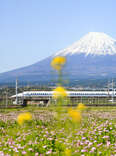 For an Unforgettable Tokyo Day Trip, Just Hop on the Bullet Train