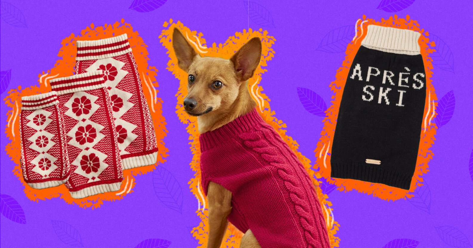 Coziest Dog Fall Sweaters DodoWell The Dodo
