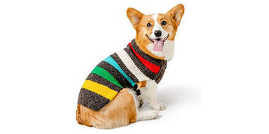 Rainbow dog sweater