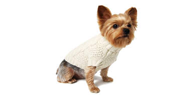 White Knit Dog Sweater