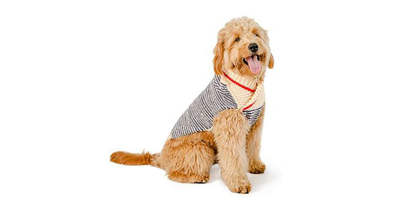 preppy dog sweater