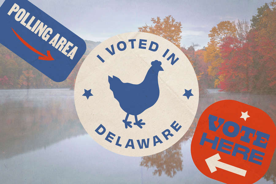 Delaware 2020 Voter Guide: Registration, Deadlines, Resources & More ...