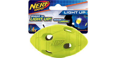 nerf dog LED toy