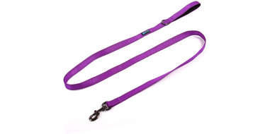 reflective nylon leash