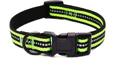 amazon reflective dog collar