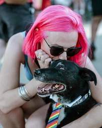 cat and dog