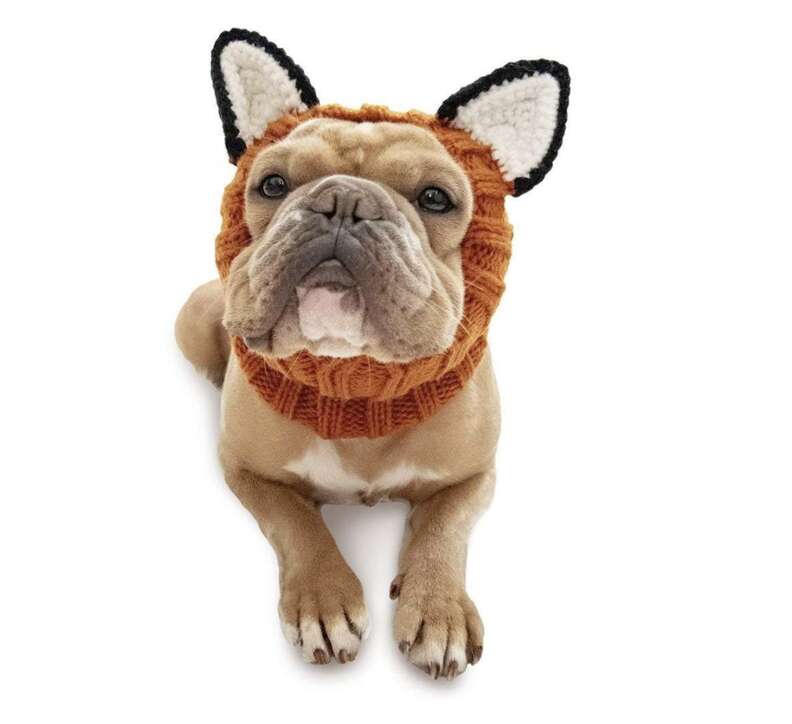 Fox Dog Snood